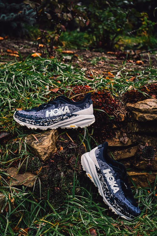 Salomon vs Hoka sale cycle comparison — two running shoes with price tags