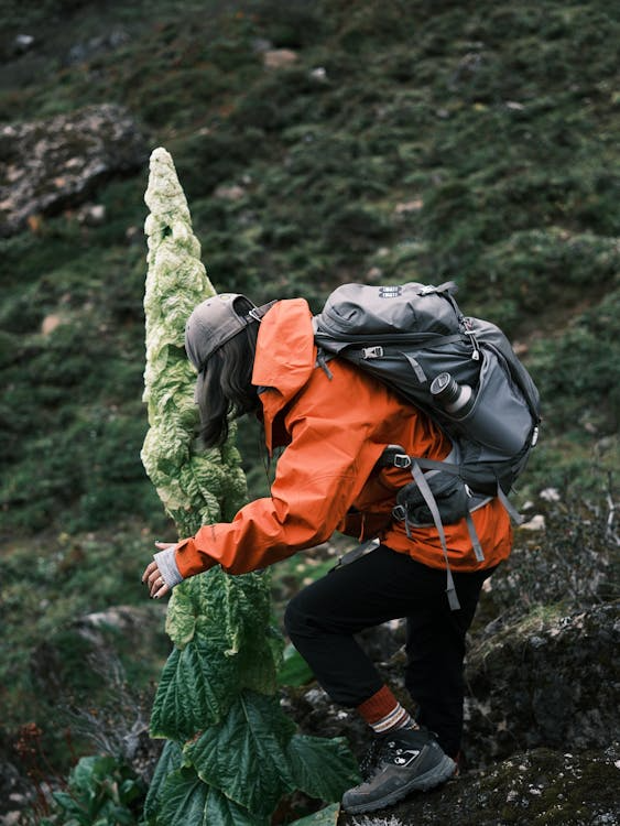 Arc'teryx vs Patagonia hardshell jacket comparison on wet alpine terrain