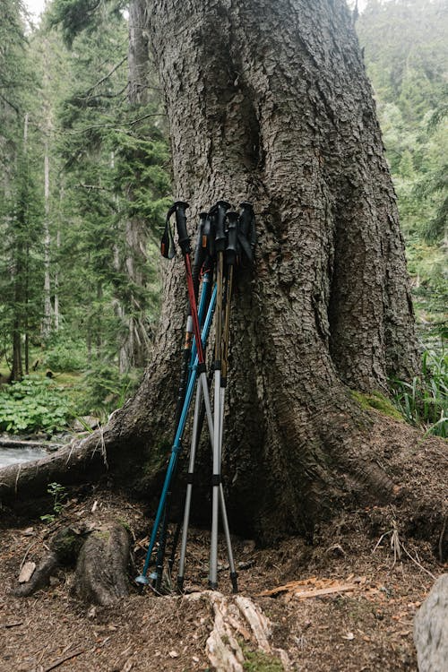 Hiking poles guide — trekking pole length and grip comparison on trail